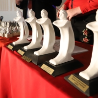 awards (2)